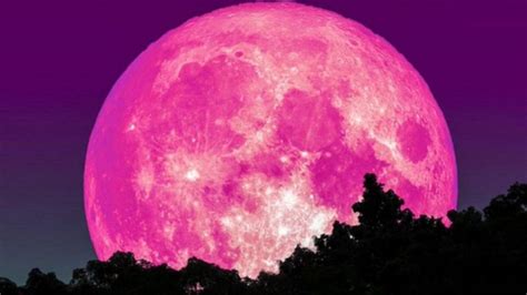 porque la luna se pone rosa